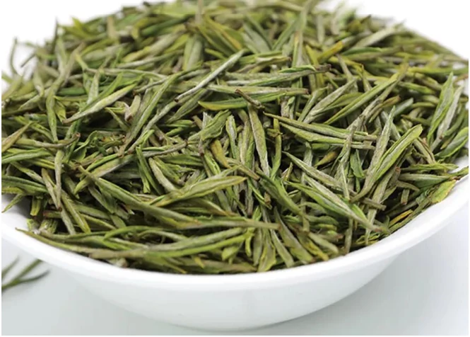 Anji Bai Cha leaves illustrated in the supplied regional green tea guide