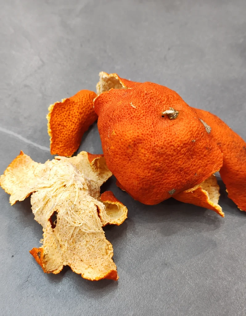 Fresh orange-colored citrus peel with white pith