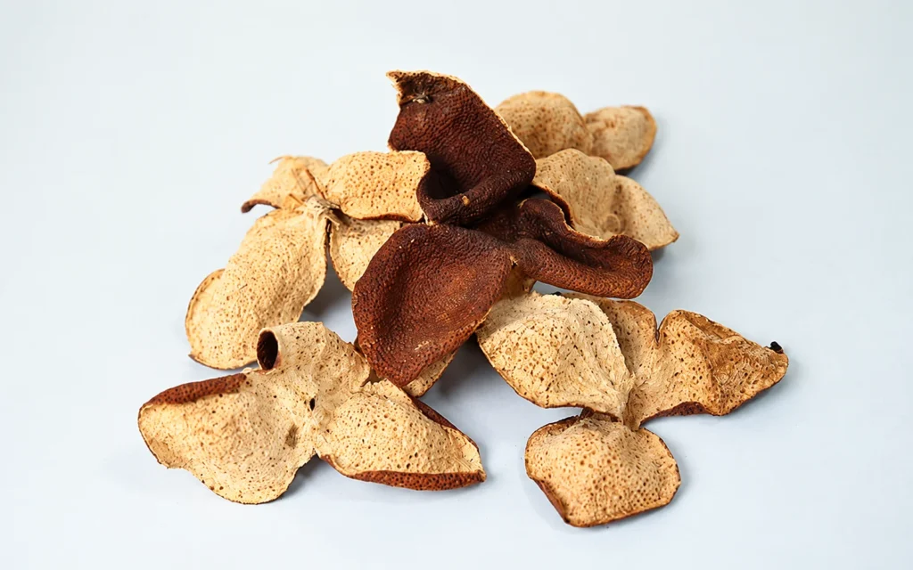 Mixed dried peel samples on a pale background