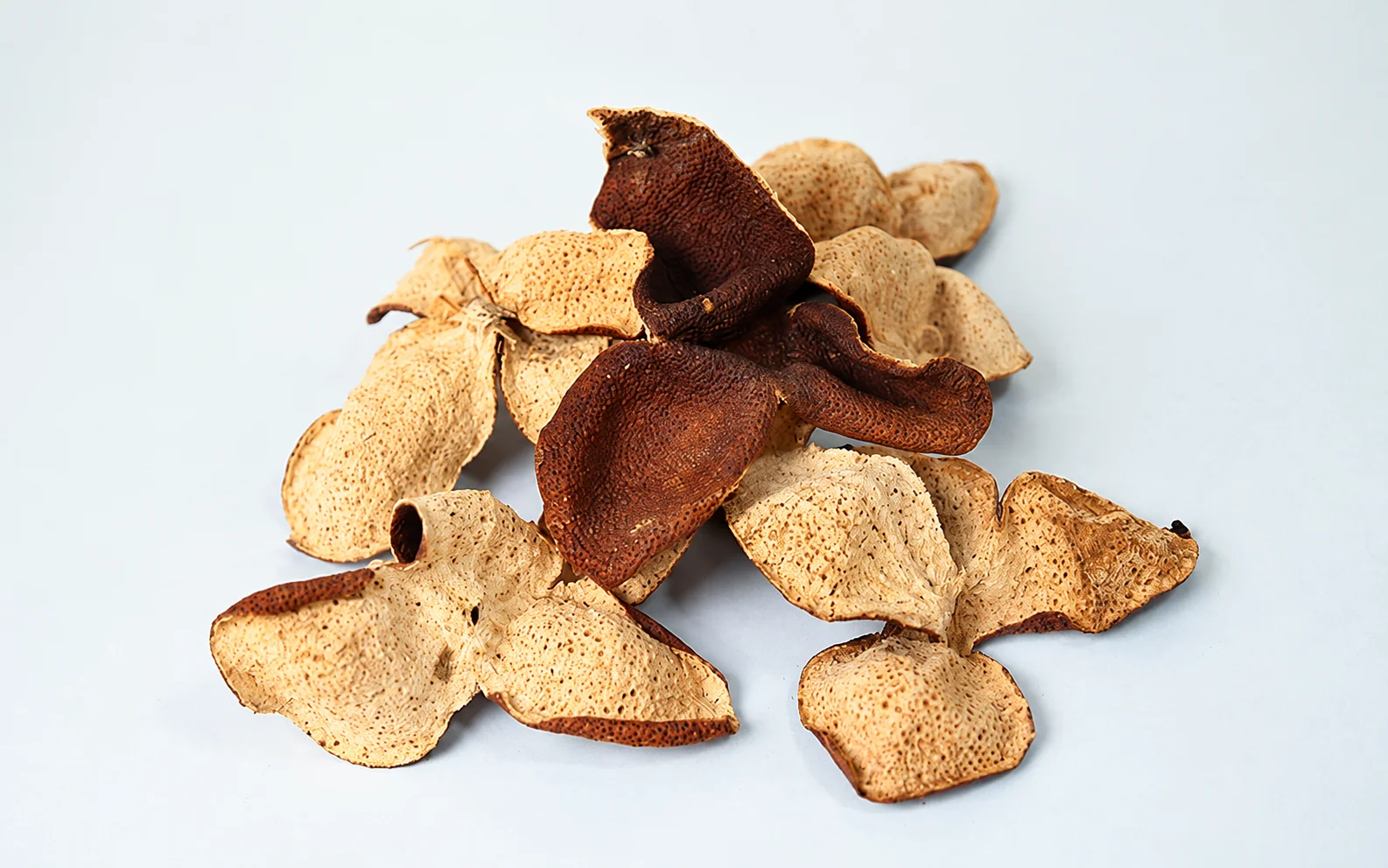 Mixed dried peel samples on a pale background