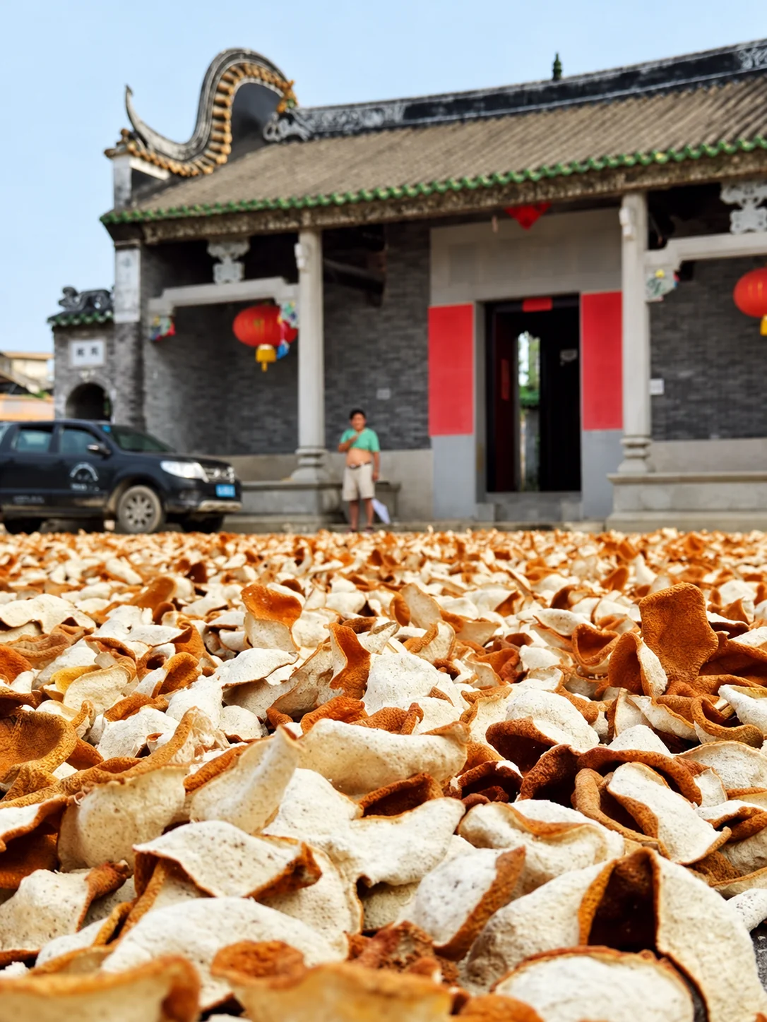 Citrus peels spread out for drying in a courtyard
