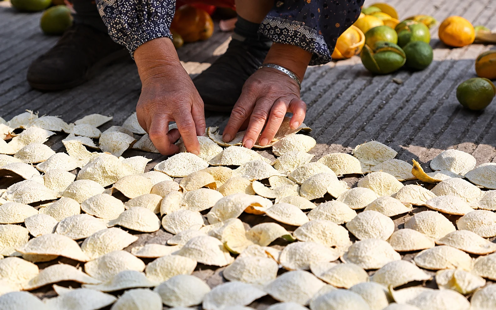 Citrus peels arranged by hand for drying