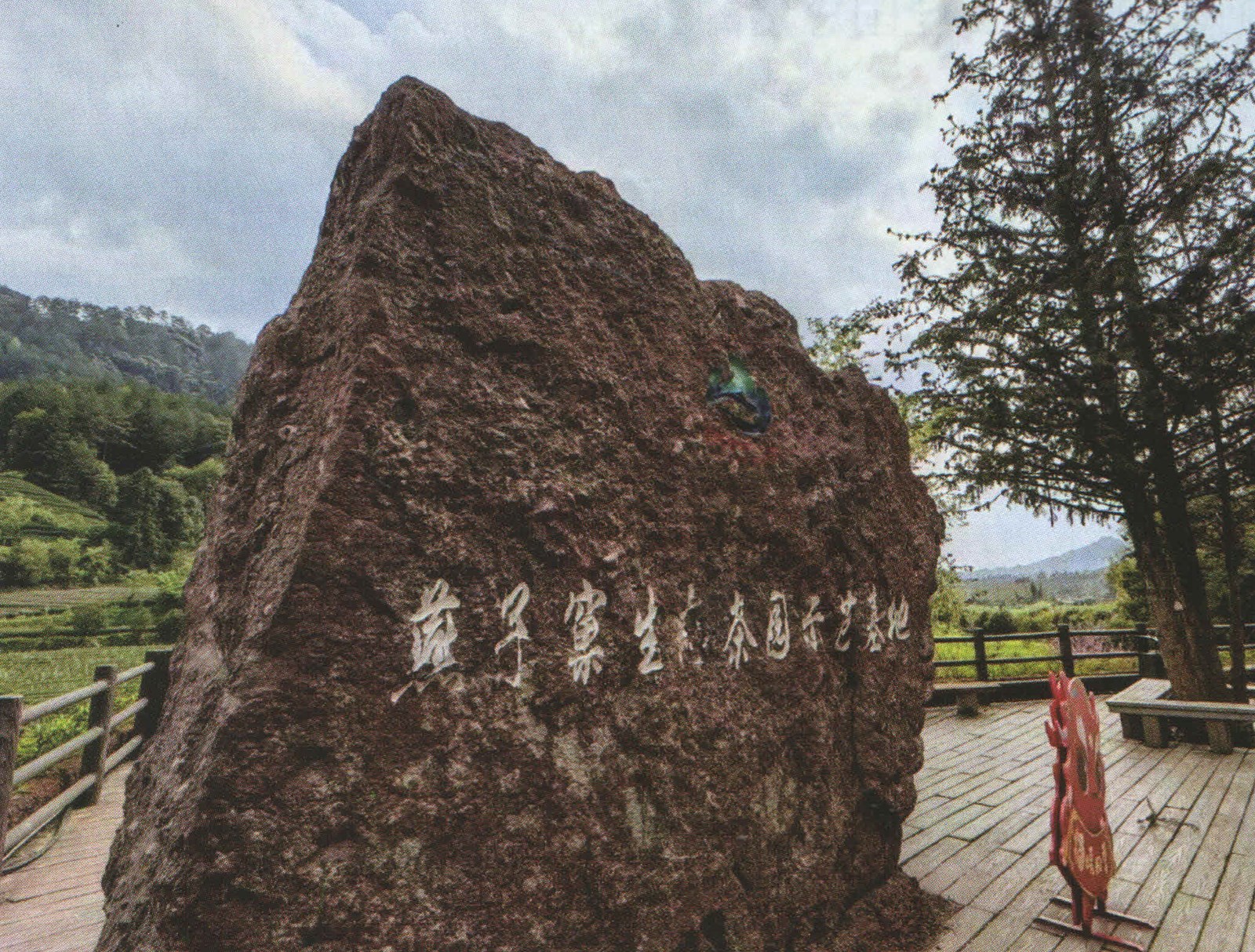 Inscribed stone landmark in a tea-growing landscape