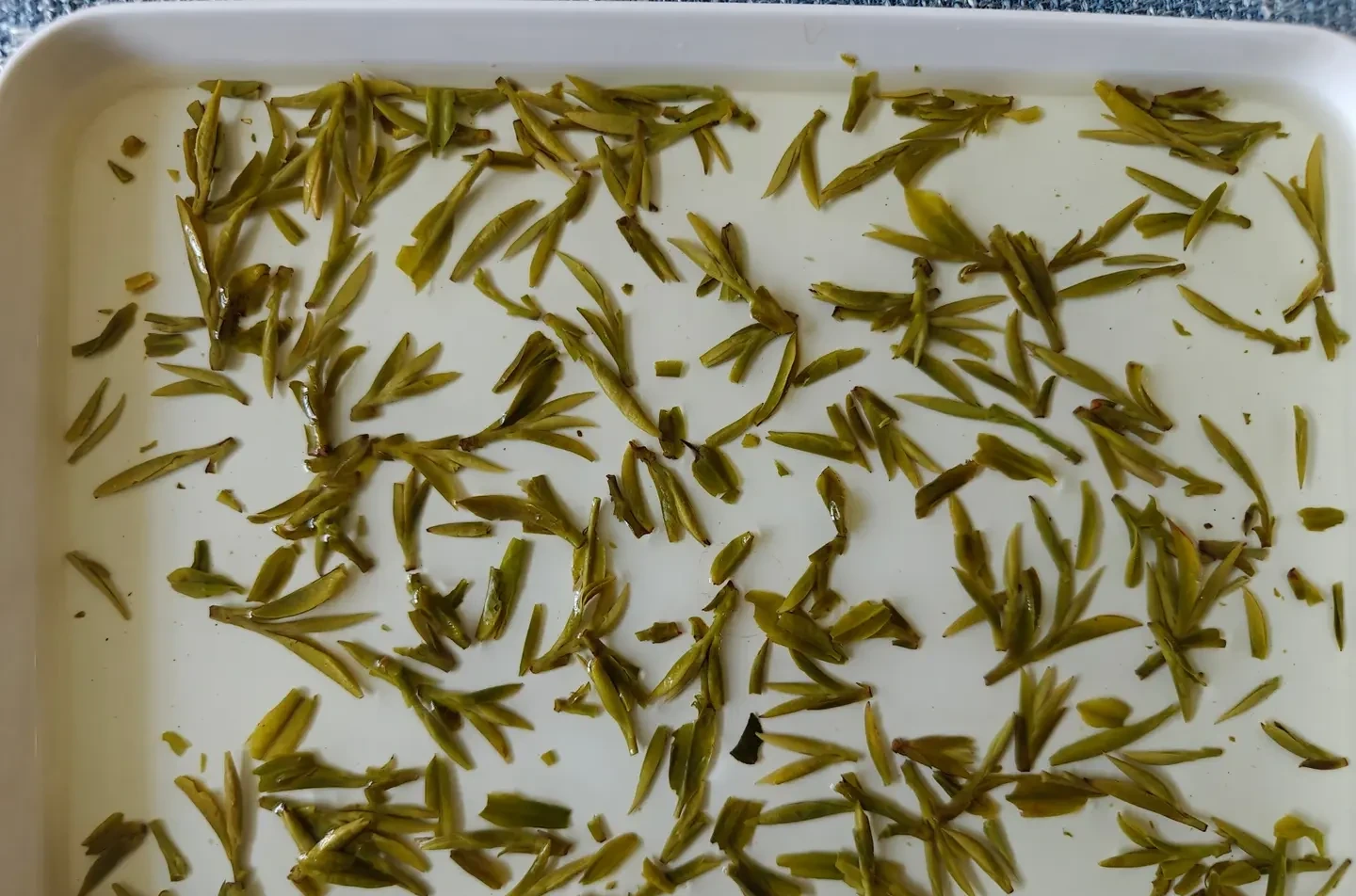 Opened Jingpin tea leaves spread after brewing