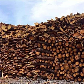 Stacked firewood prepared for kiln firing
