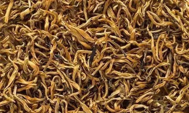 Golden-tipped Dianhong leaves in the supplied comparison.