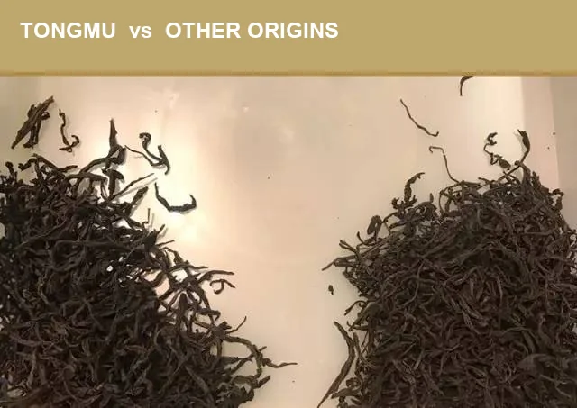 Tongmu vs other origin leaves