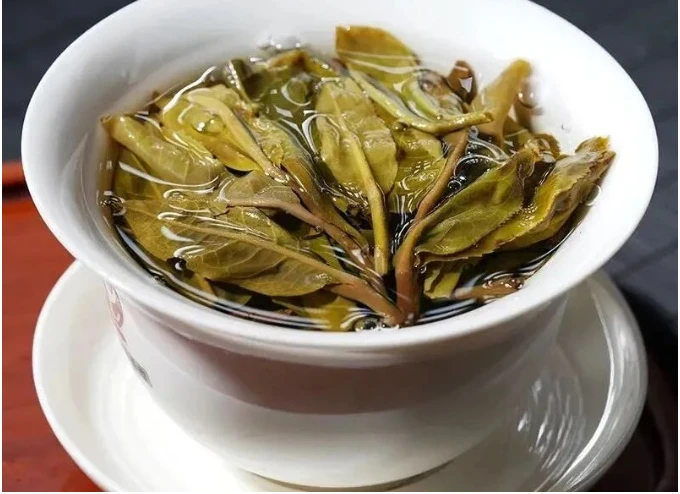 Brewed Pu-erh leaves used in a regional tasting discussion