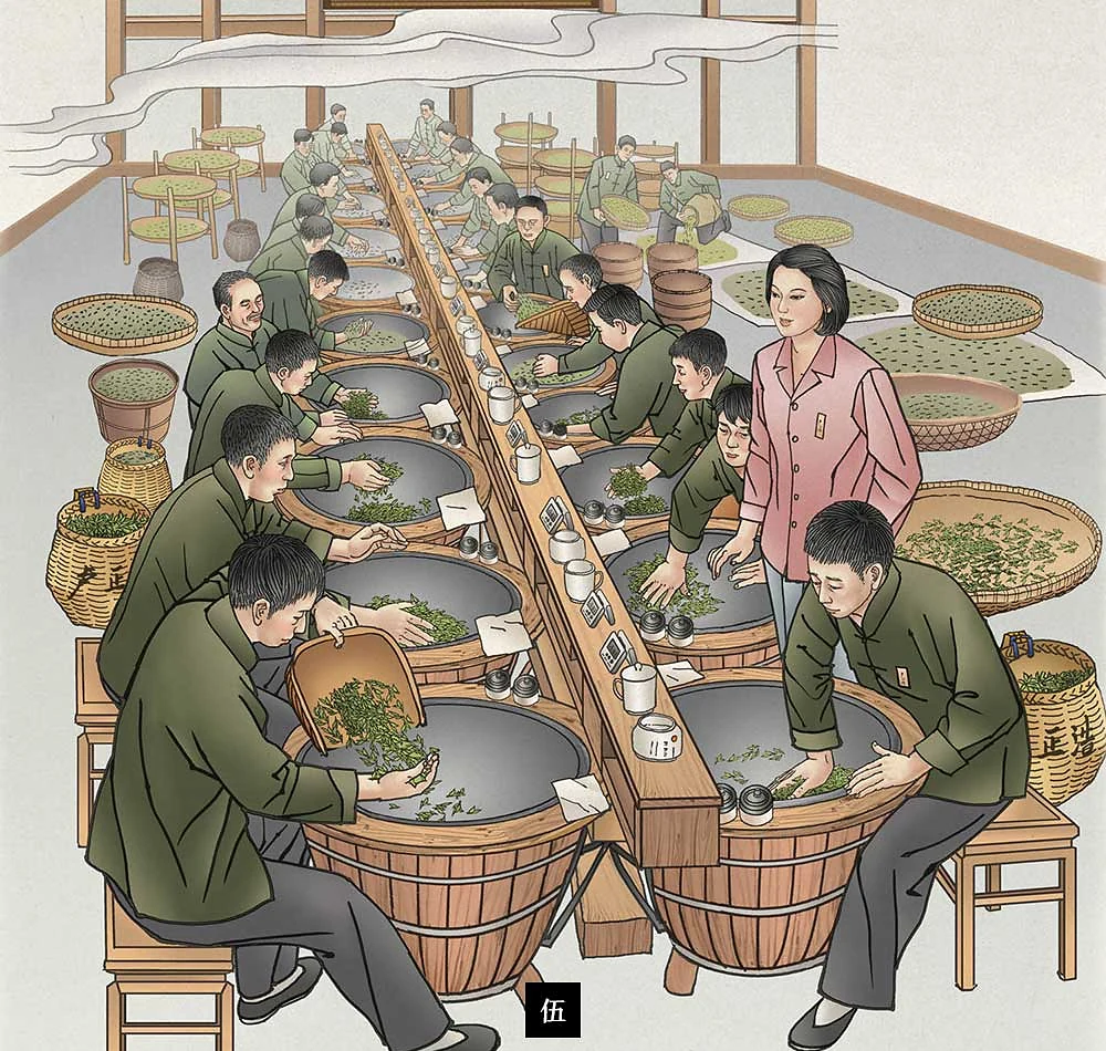 官网绘制的龙井茶青锅炒制示意图