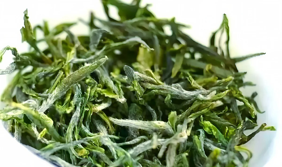 Close-up of downy Lushan Yunwu dry green tea leaves