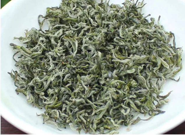Mengding Ganlu leaves illustrated in the supplied regional green tea guide