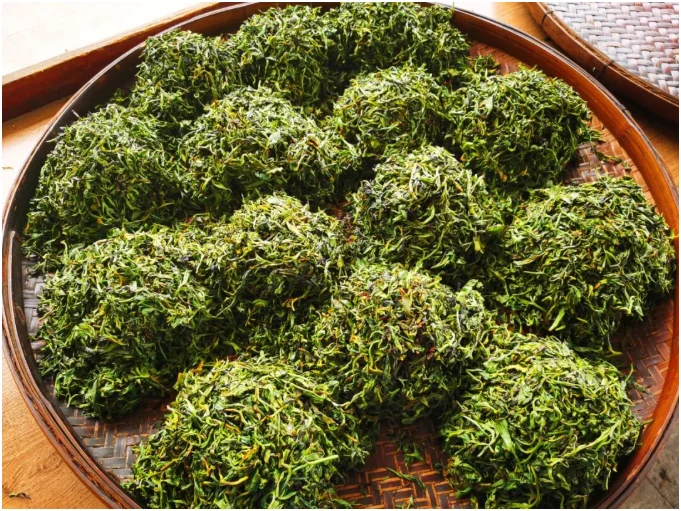 Rolled green leaves spread on a bamboo mat for Liubao processing