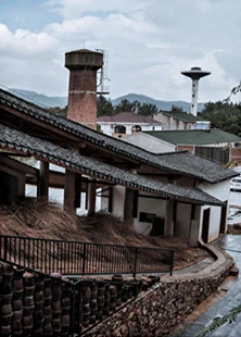 Traditional dragon kiln buildings shown in the supplied workshop photographs