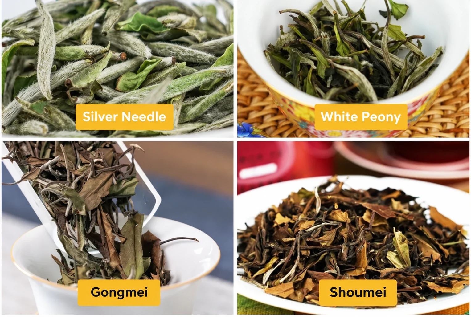 Silver Needle White Peony Gongmei and Shoumei with English labels