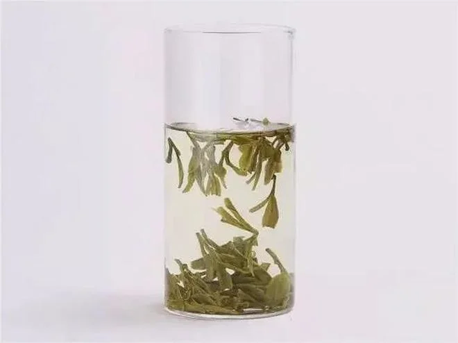 高玻璃杯中的绿茶芽叶与茶汤