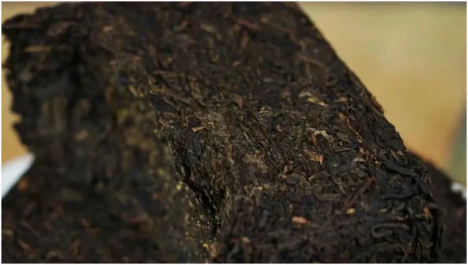 Surface detail of a compressed Fu brick tea
