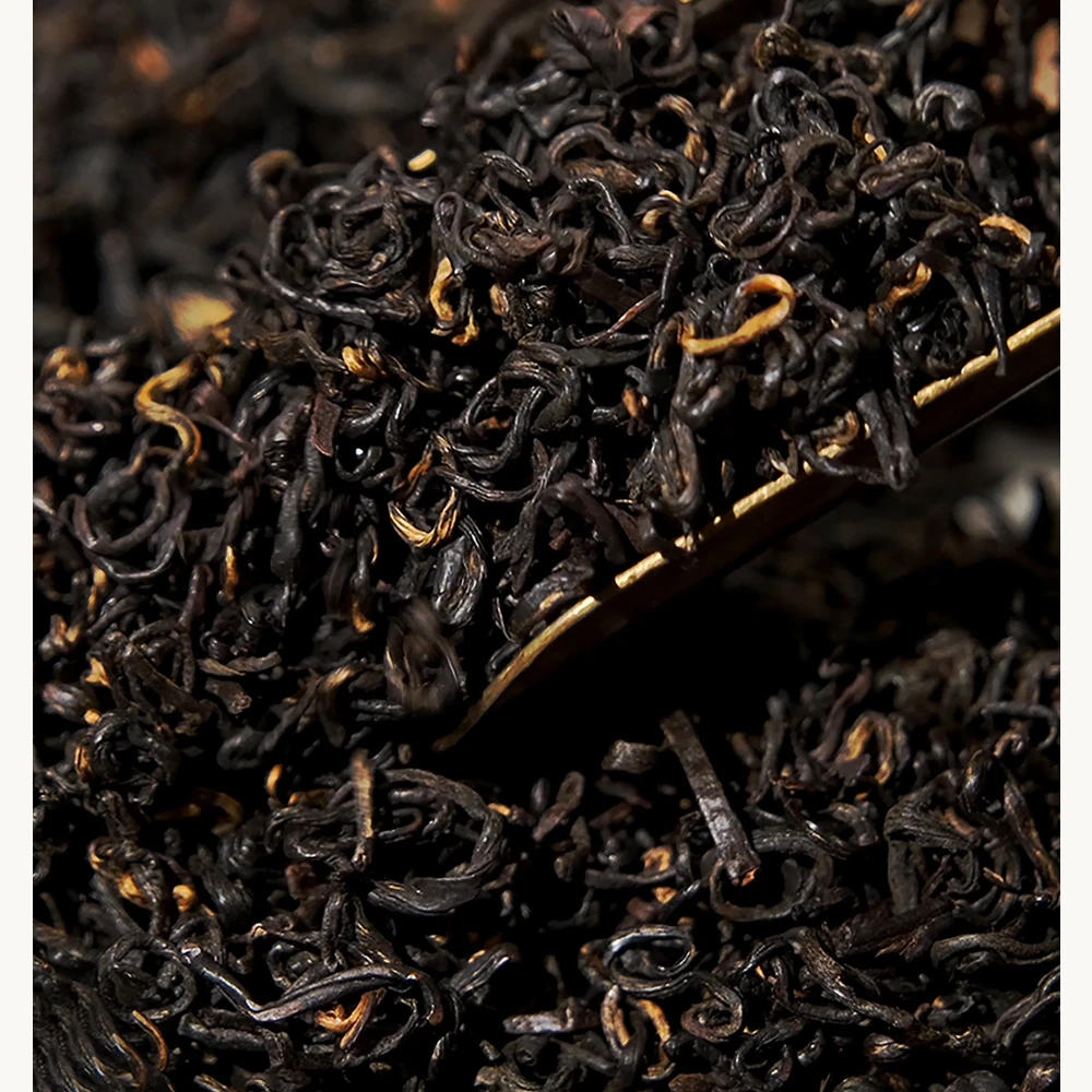 Tianzhihong Xiangluo Paper-Wrapped Pack — Dry tea leaf detail