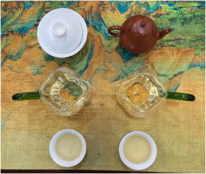 White tea infusions from a gaiwan and a clay teapot compared side by side