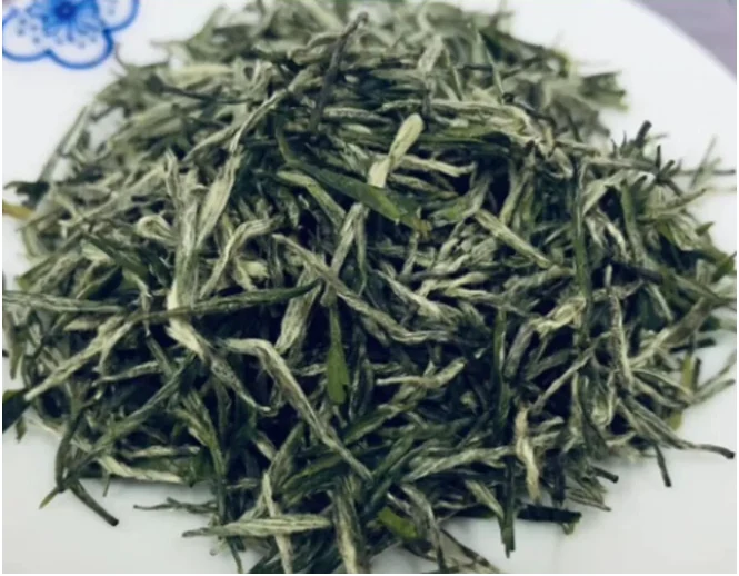 Yangxian Xueya leaves illustrated in the supplied regional green tea guide