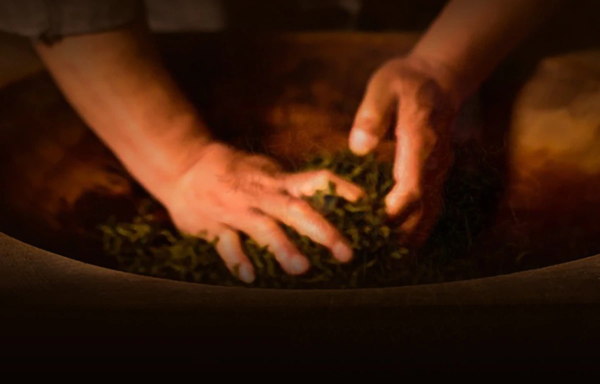 Zheng Shan Tang Han Fen Black Tea, 150g Gift Box — Tea-making image supplied by the brand; process context