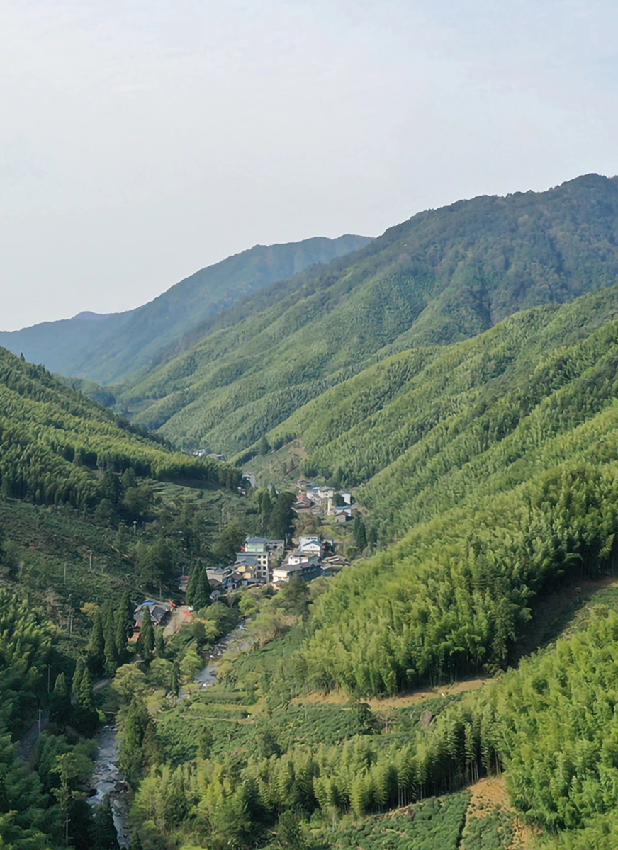 Zheng Shan Tang Origin 1568 Lapsang Souchong, 100g Tin — Wuyishan landscape, from the brand material