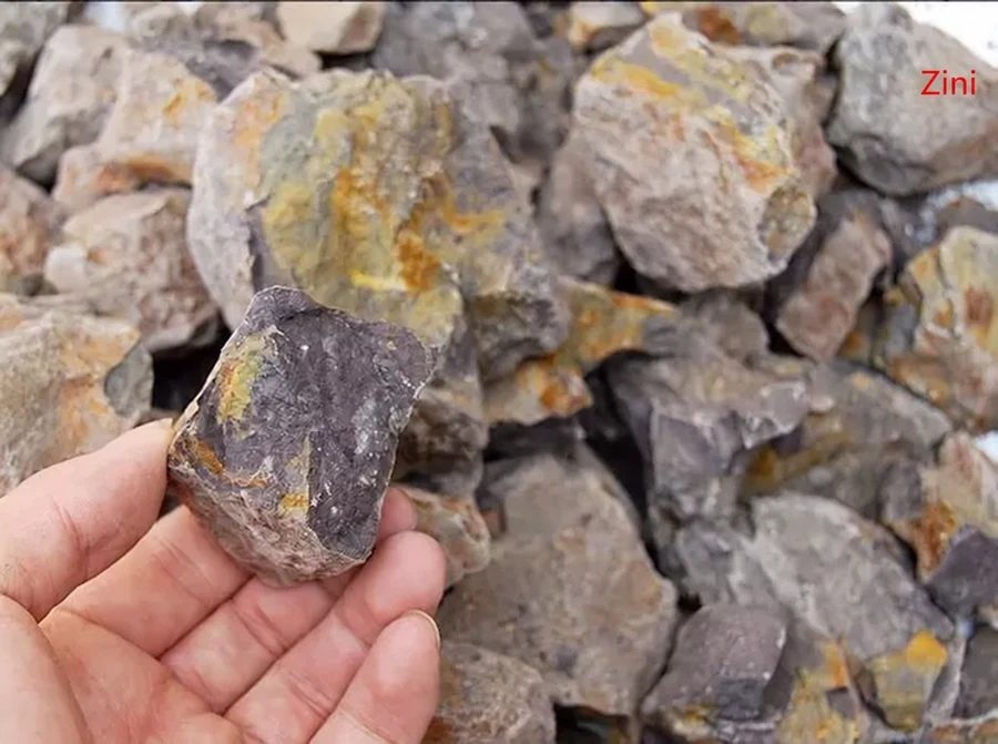 La main tenant un argile fragment brut de couleur violet-brun à côté d'un tas d'ores étiquetées Zini